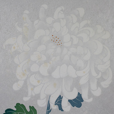 胡粉を思わせる花びらが幾重にも重なり、中央にオレンジ色の点々が集まった白い菊が、薄い灰色を背景に描かれ、下の方にある数枚の濃い緑の葉を色彩修正が引き立てている。.