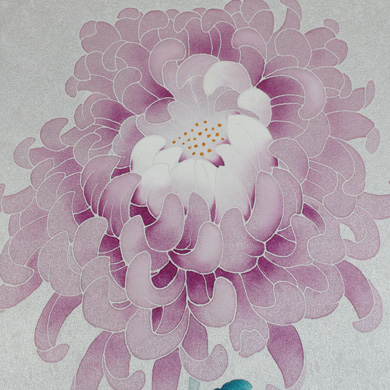 淡い背景にピンクと白の濃淡の花びらが幾重にも重なり、カールしている大輪の菊の花のクローズアップ・イラスト。色修正加工で鮮やかな色合いを強調し、胡粉の繊細なタッチにインスパイアされている。.